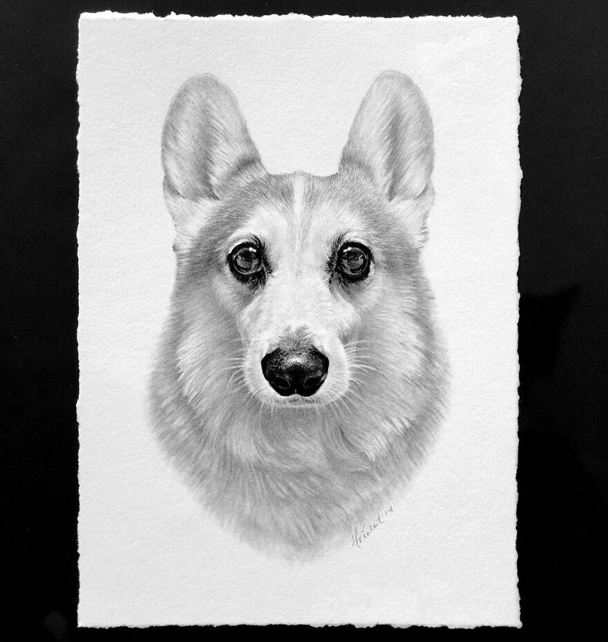 Artist Makes Realistic Pet Portraits Using Only A Pencil, Here Are The Best 49 Works Artist Makes Realistic Pet Portraits Using Only A Pencil, Here Are The Best 49 Works