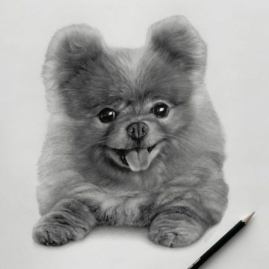 Artist Makes Realistic Pet Portraits Using Only A Pencil, Here Are The Best 49 Works Artist Makes Realistic Pet Portraits Using Only A Pencil, Here Are The Best 49 Works