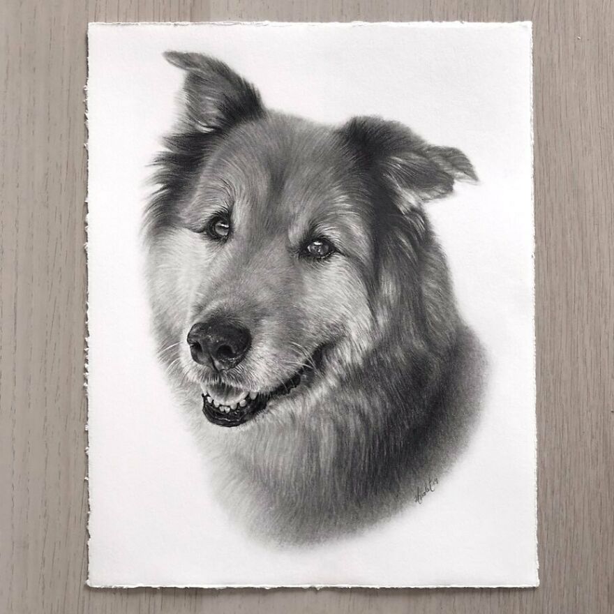 Artist Makes Realistic Pet Portraits Using Only A Pencil, Here Are The Best 49 Works Artist Makes Realistic Pet Portraits Using Only A Pencil, Here Are The Best 49 Works