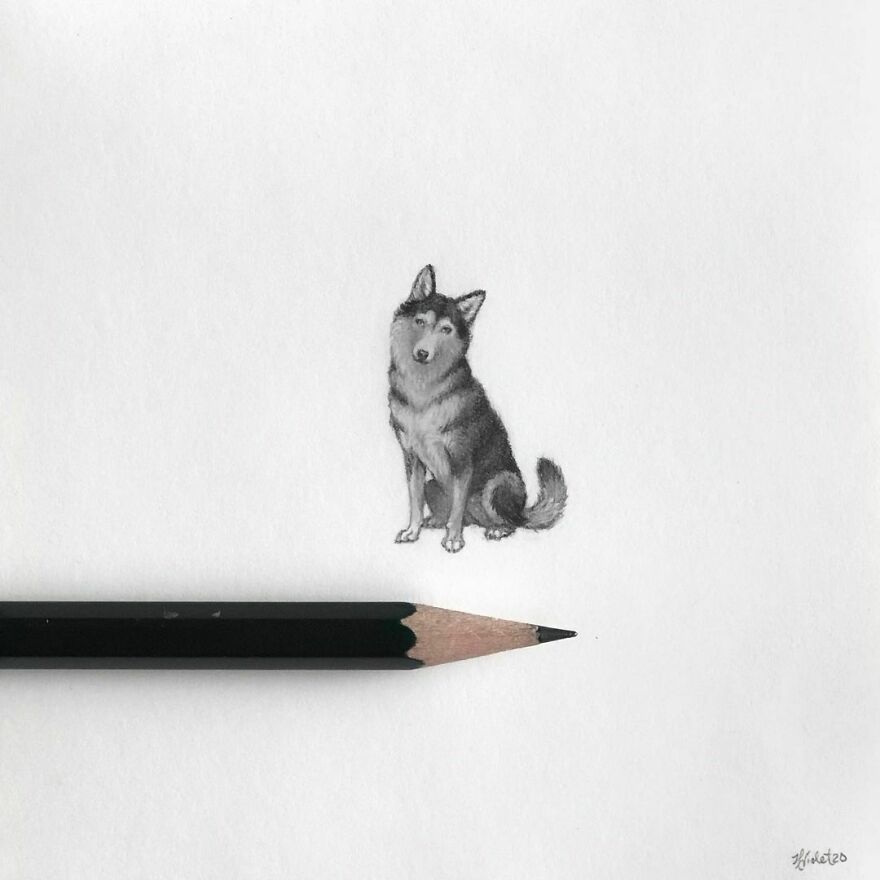 Artist Makes Realistic Pet Portraits Using Only A Pencil, Here Are The Best 49 Works Artist Makes Realistic Pet Portraits Using Only A Pencil, Here Are The Best 49 Works