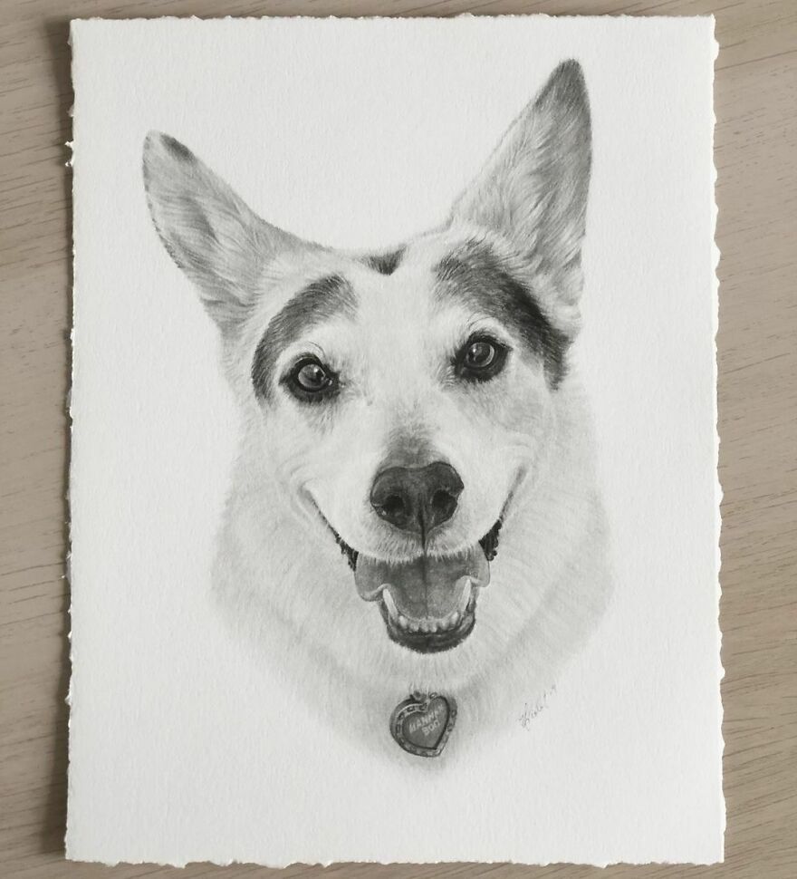 Artist Makes Realistic Pet Portraits Using Only A Pencil, Here Are The Best 49 Works Artist Makes Realistic Pet Portraits Using Only A Pencil, Here Are The Best 49 Works