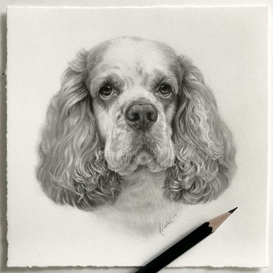 Artist Makes Realistic Pet Portraits Using Only A Pencil, Here Are The Best 49 Works Artist Makes Realistic Pet Portraits Using Only A Pencil, Here Are The Best 49 Works