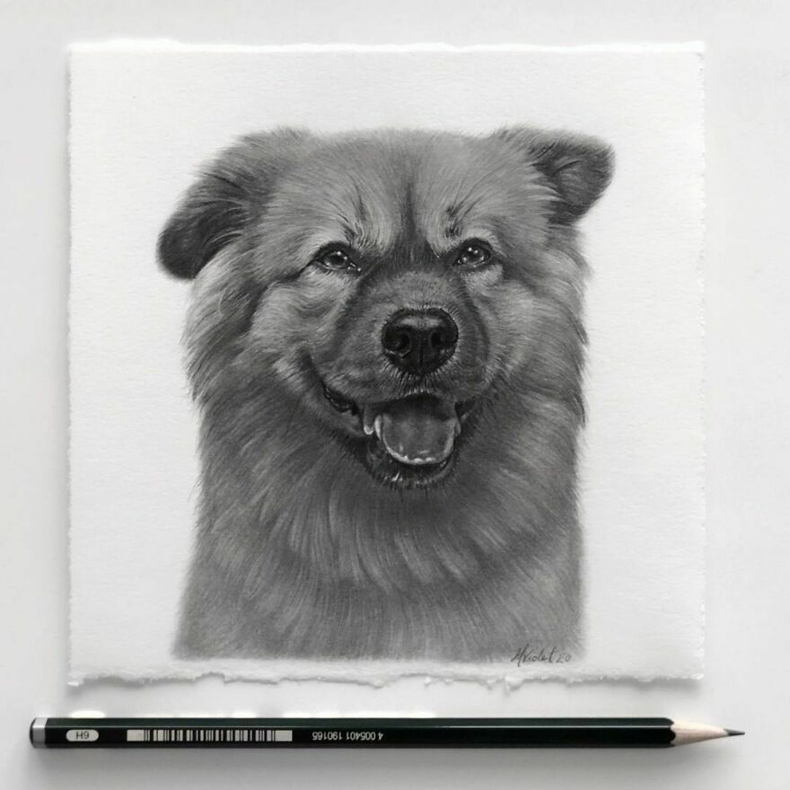 Artist Makes Realistic Pet Portraits Using Only A Pencil, Here Are The Best 49 Works Artist Makes Realistic Pet Portraits Using Only A Pencil, Here Are The Best 49 Works