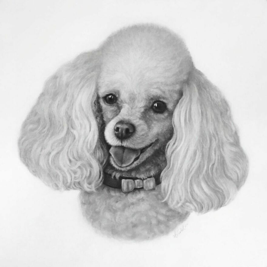 Artist Makes Realistic Pet Portraits Using Only A Pencil, Here Are The Best 49 Works Artist Makes Realistic Pet Portraits Using Only A Pencil, Here Are The Best 49 Works