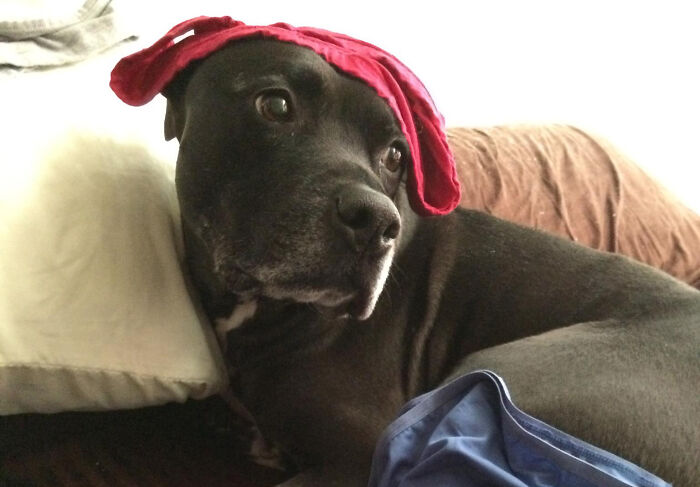 &#8220;What Is Your &#8216;I Don&#8217;t Get Paid Enough For This&#8217; Moment?&#8221; 30 People Reply