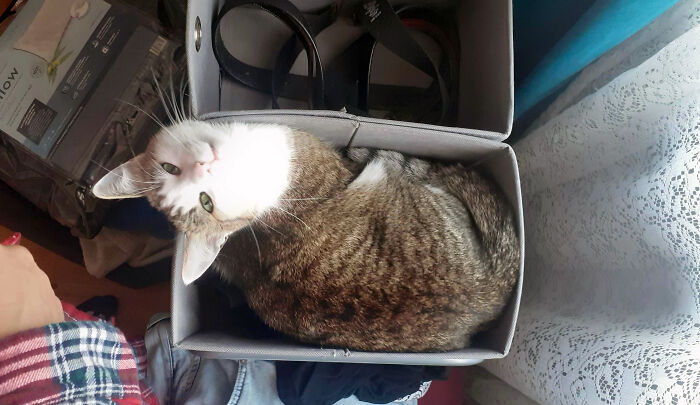 Hey Pandas, Post A Pic Of The Cutest Moment Of Your Pet Hey Pandas, Post A Pic Of The Cutest Moment Of Your Pet