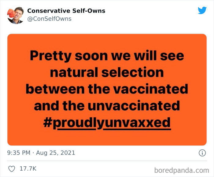 30 Times People Thought They Were Making A Statement But Owned Themselves