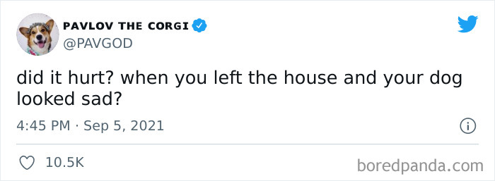 30 Of The Best “Did It Hurt?” Memes That Are Trending On Twitter 30 Of The Best “Did It Hurt?” Memes That Are Trending On Twitter