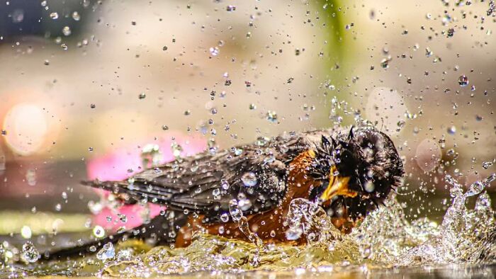 Hey Pandas, Post The Coolest Picture You Took (Closed) Hey Pandas, Post The Coolest Picture You Took (Closed)