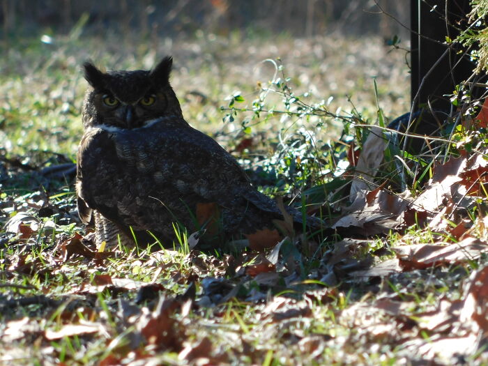 Hey Pandas, Post The Coolest Picture You Took (Closed) Hey Pandas, Post The Coolest Picture You Took (Closed)