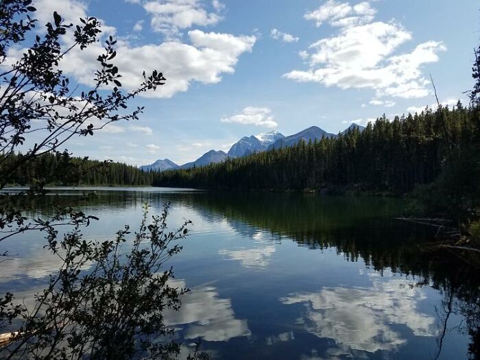 Hey Pandas, Post The Coolest Picture You Took (Closed) Hey Pandas, Post The Coolest Picture You Took (Closed)