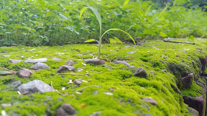 Hey Pandas, Post The Coolest Picture You Took (Closed) Hey Pandas, Post The Coolest Picture You Took (Closed)