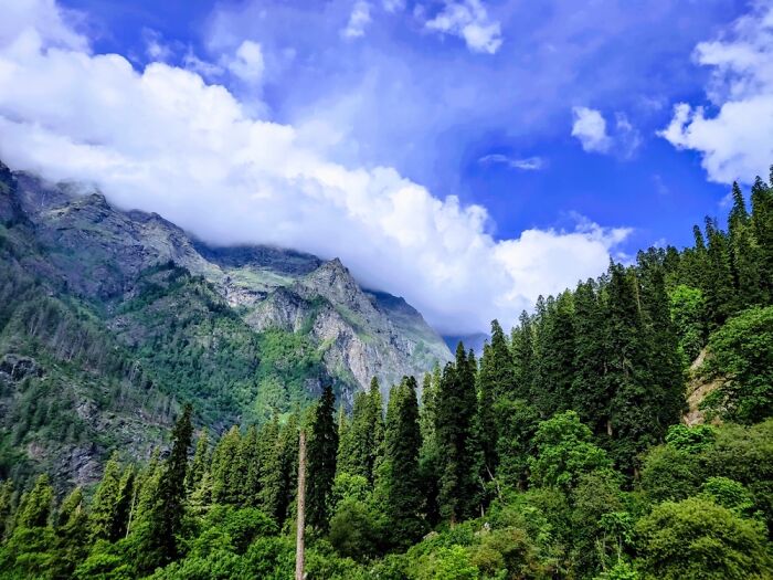 Hey Pandas, Post The Coolest Picture You Took (Closed) Hey Pandas, Post The Coolest Picture You Took (Closed)