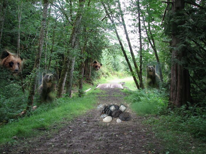 Hey Pandas, Use Photoshop To Make Something Cool (Closed)