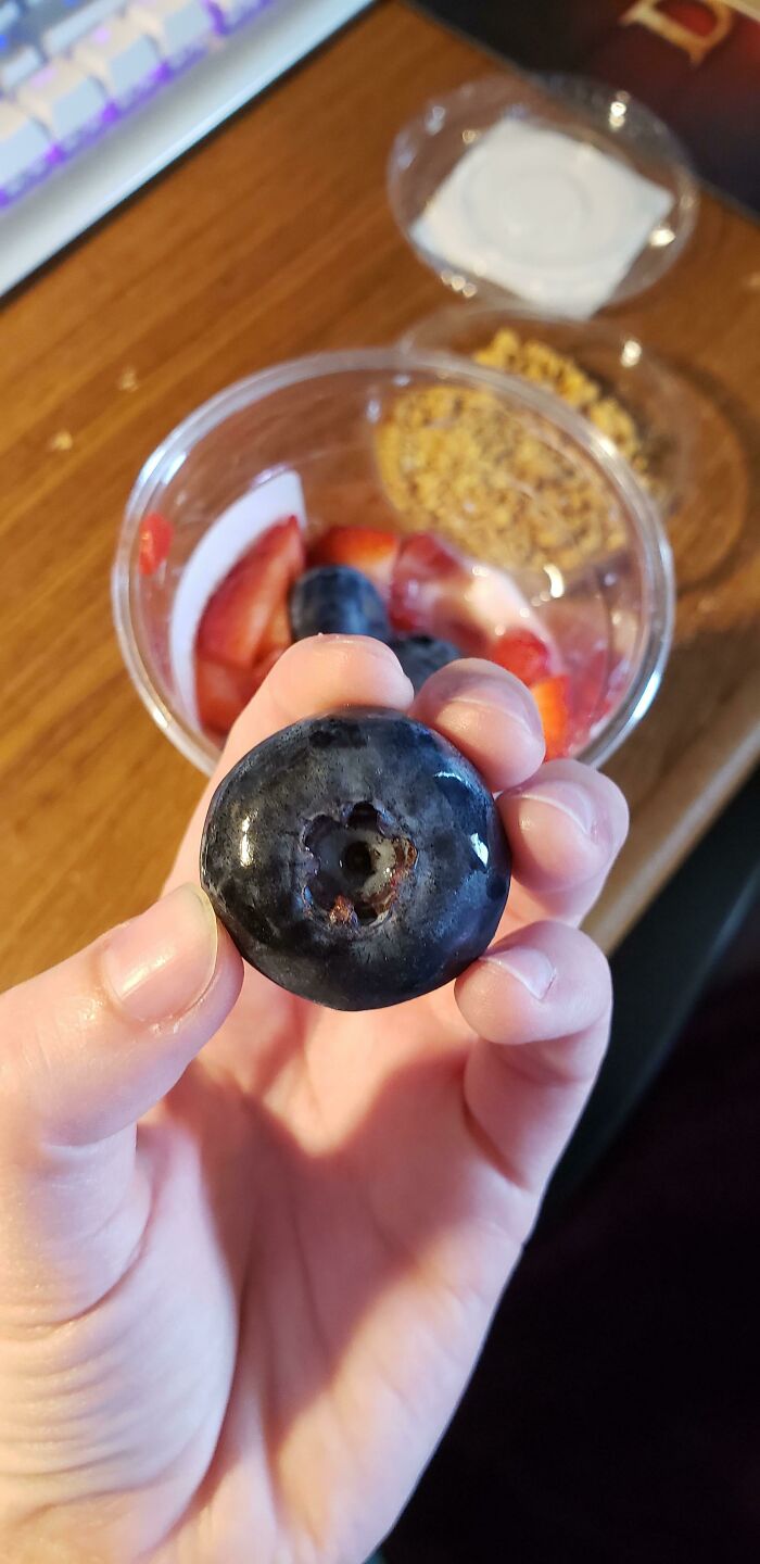 50 Times People Absolutely Won The Food Lottery 50 Times People Absolutely Won The Food Lottery