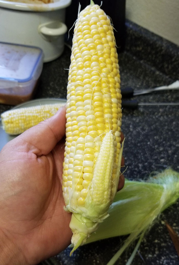 50 Times People Absolutely Won The Food Lottery 50 Times People Absolutely Won The Food Lottery