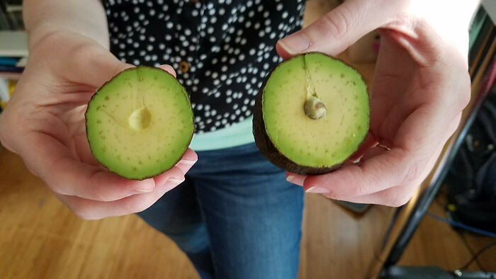 50 Times People Absolutely Won The Food Lottery 50 Times People Absolutely Won The Food Lottery