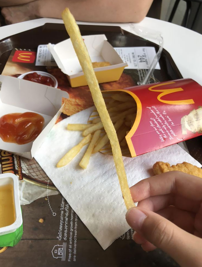 50 Times People Absolutely Won The Food Lottery 50 Times People Absolutely Won The Food Lottery