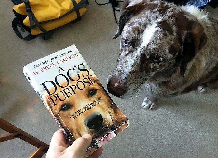 40 Bitter Truths About Being An Adult That Usually Don’t Cross Teens’ Minds, As Pointed Out In This Viral Thread 40 Bitter Truths About Being An Adult That Usually Don’t Cross Teens’ Minds, As Pointed Out In This Viral Thread