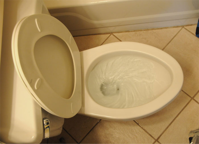 40 Online Class Gems People Witnessed When Someone Forgot To Turn Off Their Camera Or Mic