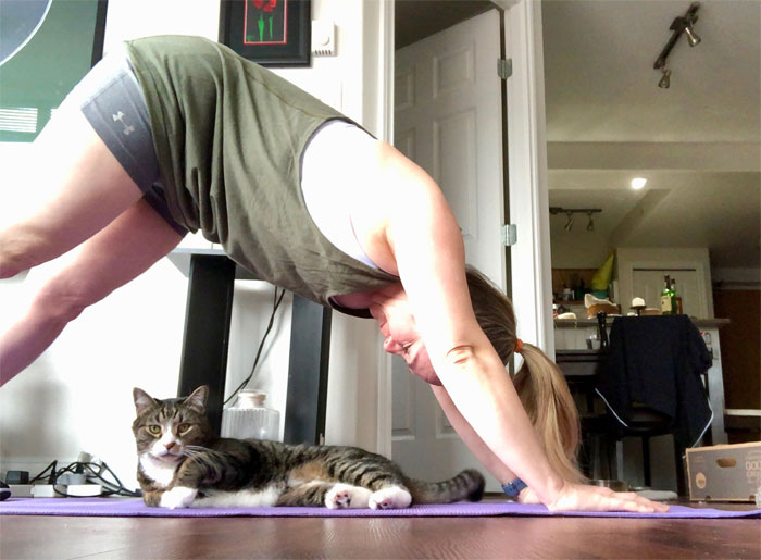 40 Online Class Gems People Witnessed When Someone Forgot To Turn Off Their Camera Or Mic 40 Online Class Gems People Witnessed When Someone Forgot To Turn Off Their Camera Or Mic