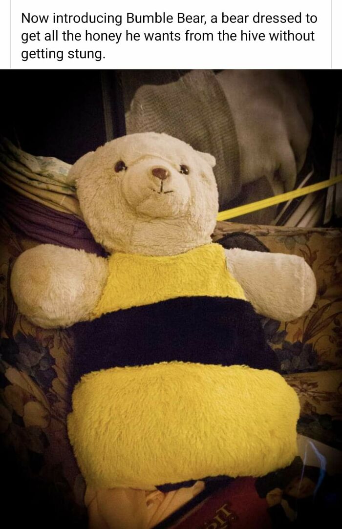 Hey Pandas, Share The Strangest Picture In Your Camera Roll (Closed) Hey Pandas, Share The Strangest Picture In Your Camera Roll (Closed)