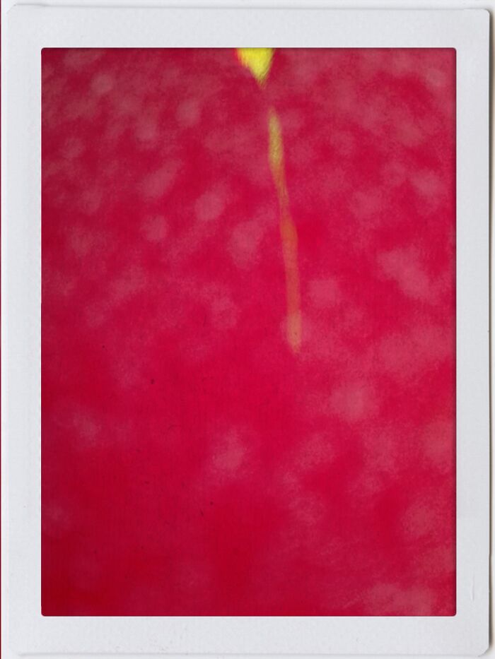 Hey Pandas, Share The Strangest Picture In Your Camera Roll (Closed) Hey Pandas, Share The Strangest Picture In Your Camera Roll (Closed)