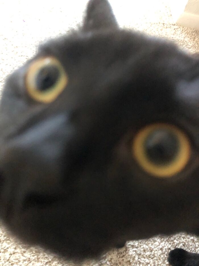 Hey Pandas, Share The Strangest Picture In Your Camera Roll (Closed) Hey Pandas, Share The Strangest Picture In Your Camera Roll (Closed)