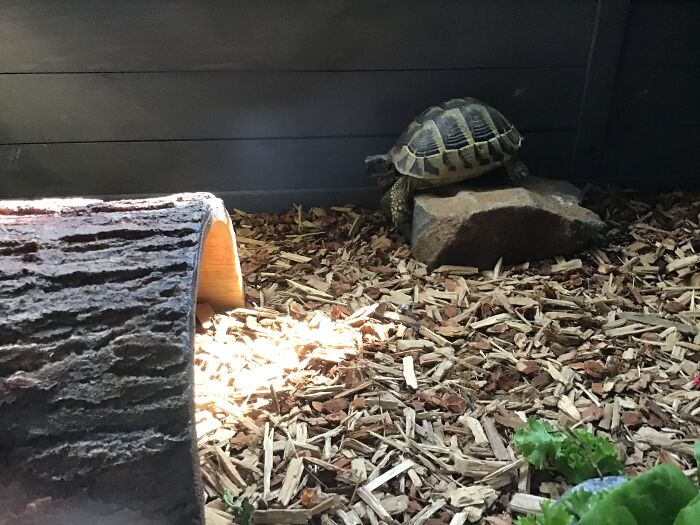 Hey Pandas, Share The Strangest Picture In Your Camera Roll (Closed) Hey Pandas, Share The Strangest Picture In Your Camera Roll (Closed)