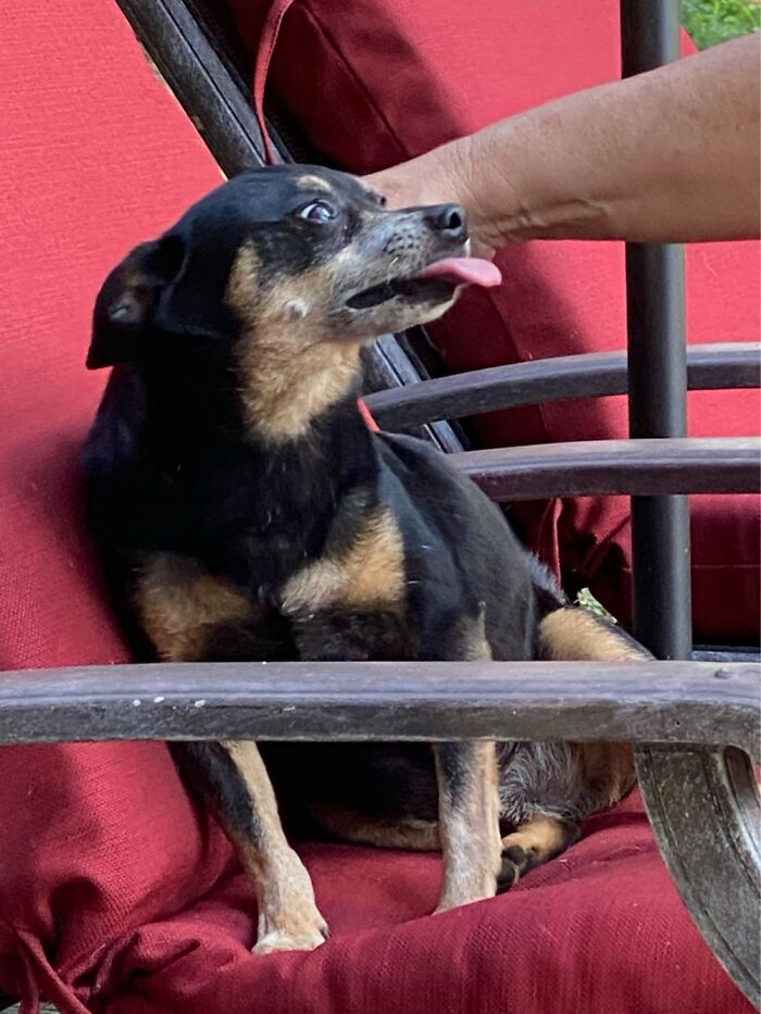 Hey Pandas, Share The Strangest Picture In Your Camera Roll (Closed) Hey Pandas, Share The Strangest Picture In Your Camera Roll (Closed)