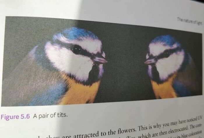 50 People Who Absolutely Knew What They Were Doing And Went For It Anyway 50 People Who Absolutely Knew What They Were Doing And Went For It Anyway