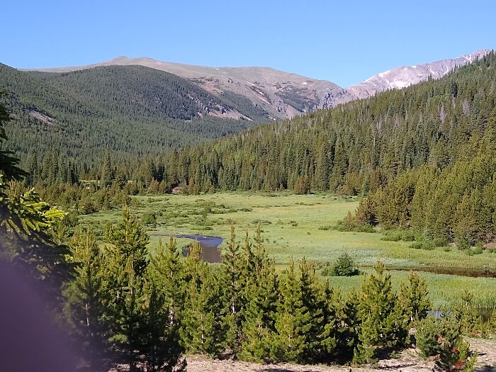 Hey Pandas, Since The Summer Is Over, Show Us Your Favorite Summer 2021 Moment (Closed) Hey Pandas, Since The Summer Is Over, Show Us Your Favorite Summer 2021 Moment (Closed)