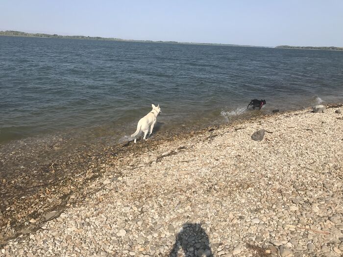 Hey Pandas, Since The Summer Is Over, Show Us Your Favorite Summer 2021 Moment (Closed) Hey Pandas, Since The Summer Is Over, Show Us Your Favorite Summer 2021 Moment (Closed)