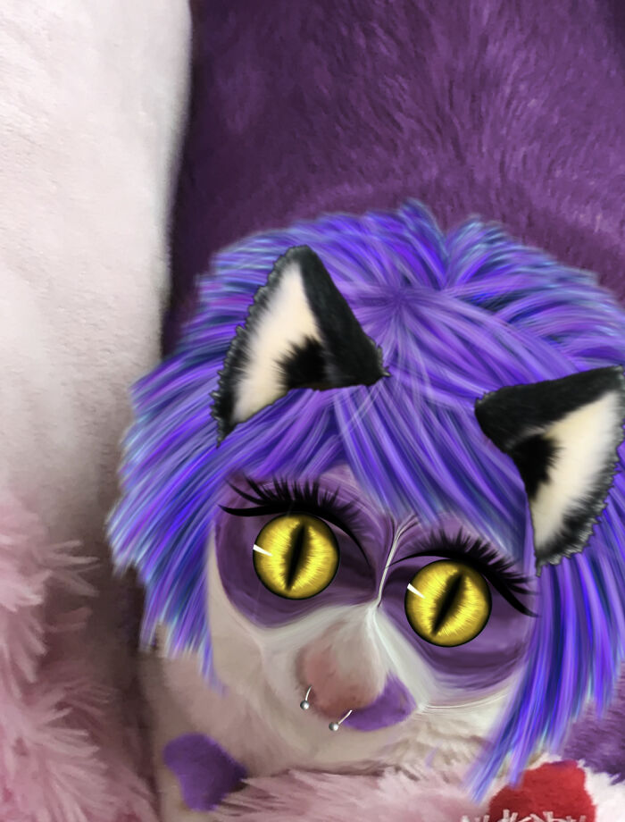 Hey Pandas, Photoshop My Cat (Closed)