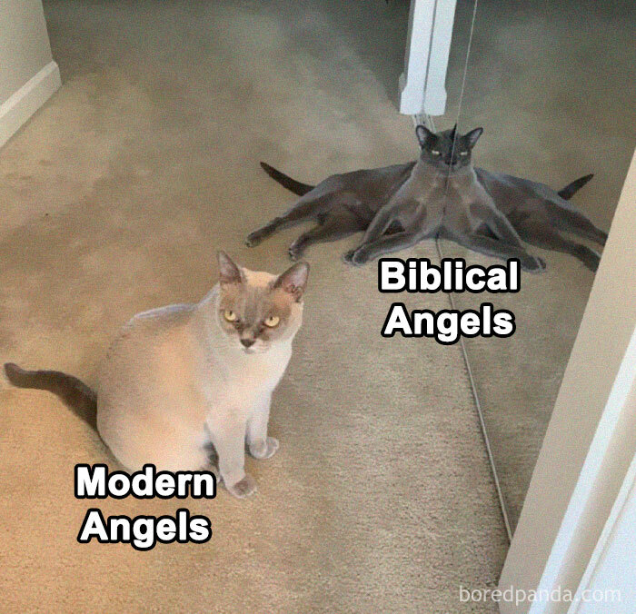 50 Of The Best History Memes For Anyone Wanting To Learn More About Our Past 50 Of The Best History Memes For Anyone Wanting To Learn More About Our Past