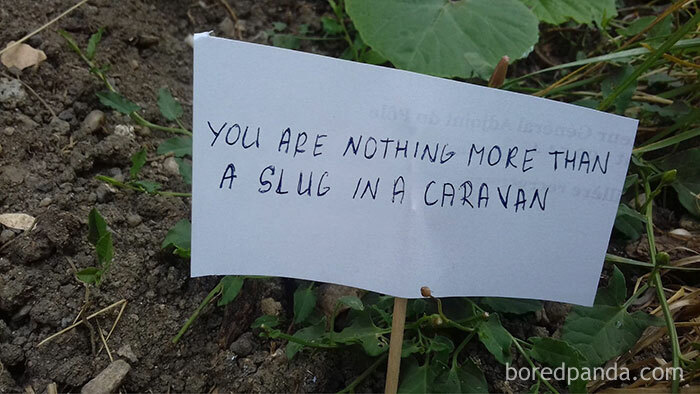 Person Wants To Scare Off Snails That Keep Munching On His Plants, Puts Up 13 ‘Intimidating’ Signs Person Wants To Scare Off Snails That Keep Munching On His Plants, Puts Up 13 ‘Intimidating’ Signs