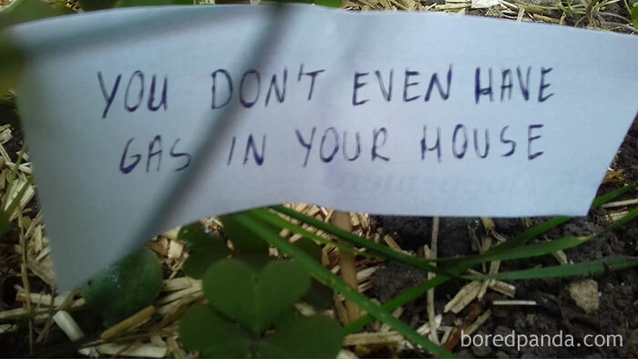 Person Wants To Scare Off Snails That Keep Munching On His Plants, Puts Up 13 ‘Intimidating’ Signs Person Wants To Scare Off Snails That Keep Munching On His Plants, Puts Up 13 ‘Intimidating’ Signs
