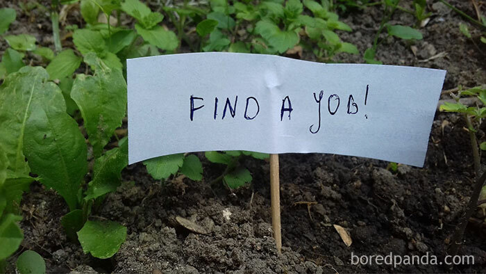 Person Wants To Scare Off Snails That Keep Munching On His Plants, Puts Up 13 ‘Intimidating’ Signs Person Wants To Scare Off Snails That Keep Munching On His Plants, Puts Up 13 ‘Intimidating’ Signs