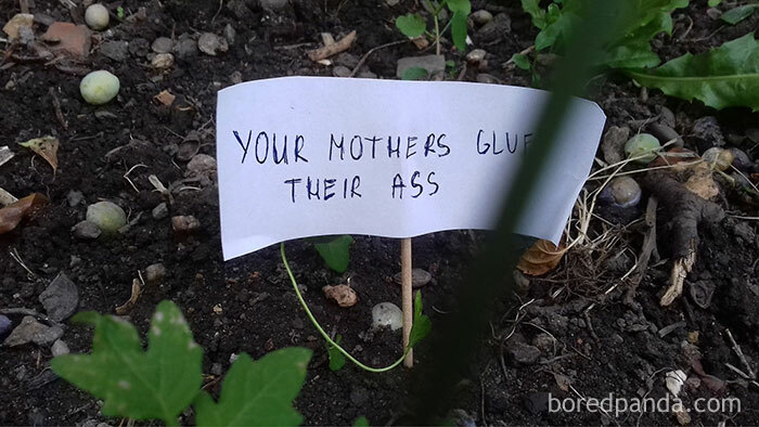 Person Wants To Scare Off Snails That Keep Munching On His Plants, Puts Up 13 ‘Intimidating’ Signs Person Wants To Scare Off Snails That Keep Munching On His Plants, Puts Up 13 ‘Intimidating’ Signs