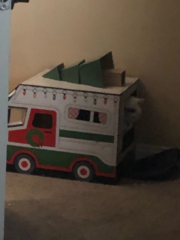 Hey Pandas, Share A Picture Of Your Pet Looking Mad (Closed) Hey Pandas, Share A Picture Of Your Pet Looking Mad (Closed)