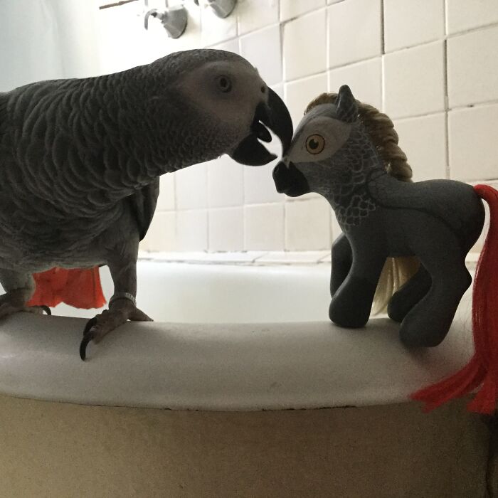 Hey Pandas, Share A Picture Of Your Pet Looking Mad (Closed) Hey Pandas, Share A Picture Of Your Pet Looking Mad (Closed)