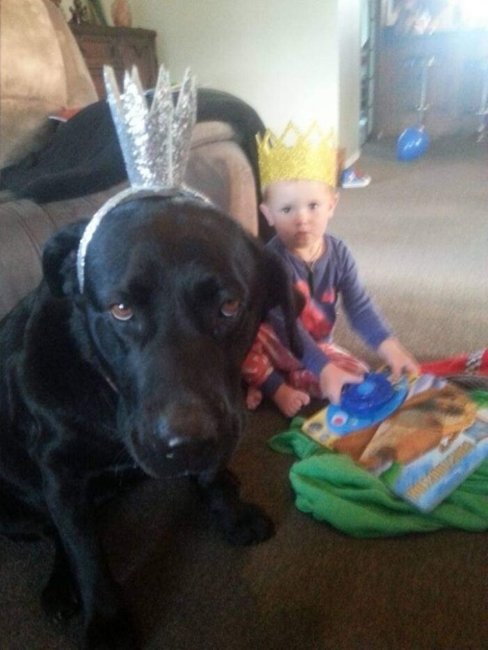 Hey Pandas, Share A Picture Of Your Pet Looking Mad (Closed) Hey Pandas, Share A Picture Of Your Pet Looking Mad (Closed)