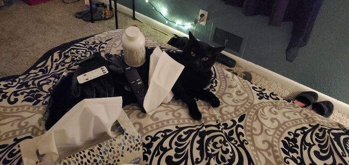 Hey Pandas, Share A Picture Of Your Pet Looking Mad (Closed) Hey Pandas, Share A Picture Of Your Pet Looking Mad (Closed)