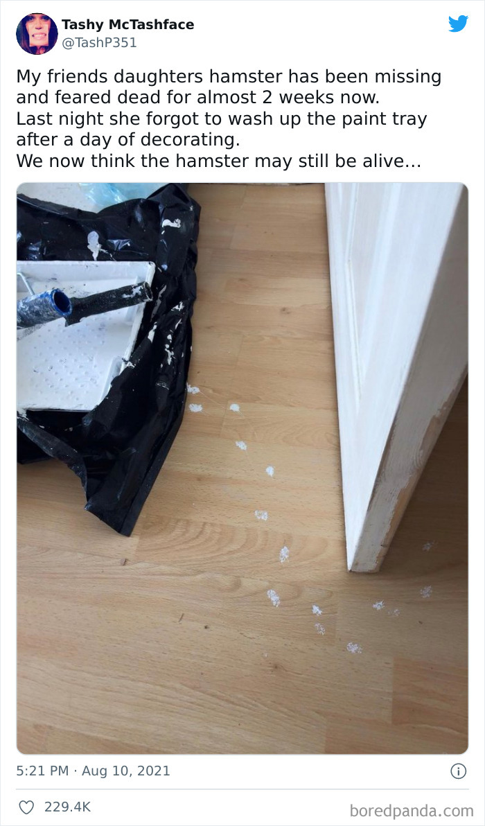 The Parents Of Twitter Continue To Raise The Bar On Comedy, And Here Are 30 Of Their Funniest Tweets This August The Parents Of Twitter Continue To Raise The Bar On Comedy, And Here Are 30 Of Their Funniest Tweets This August