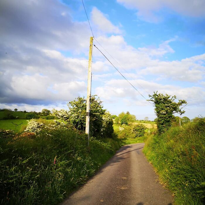 Hey Pandas, Show Me A Picture That You Took At A National Park (Closed)