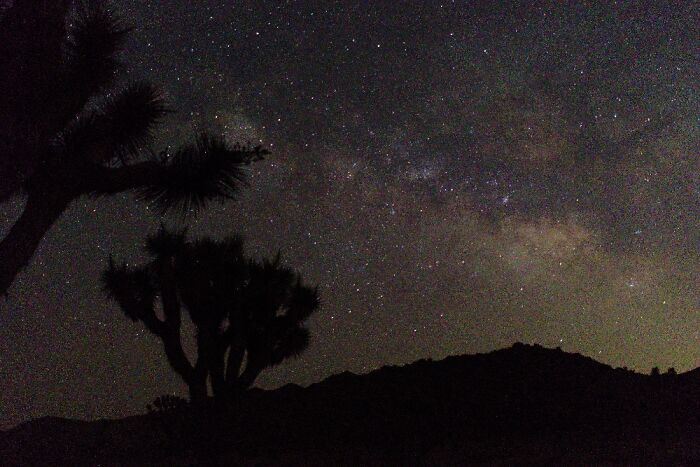 Hey Pandas, Show Me A Picture That You Took At A National Park (Closed)