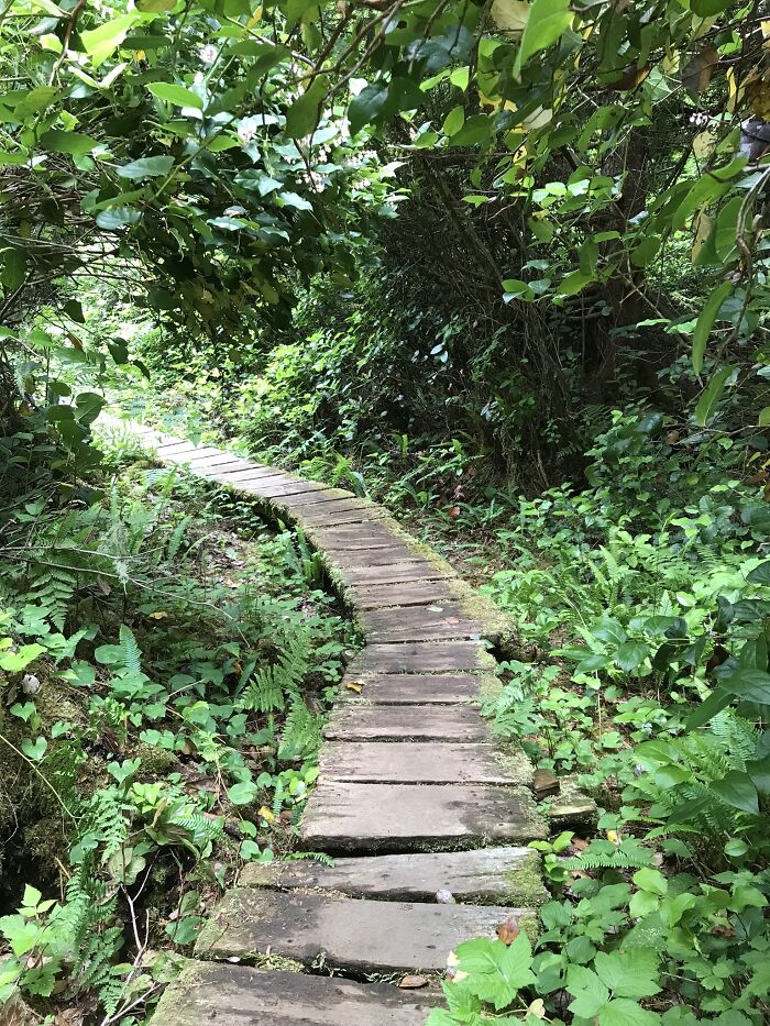 Hey Pandas, Show Me A Picture That You Took At A National Park (Closed)