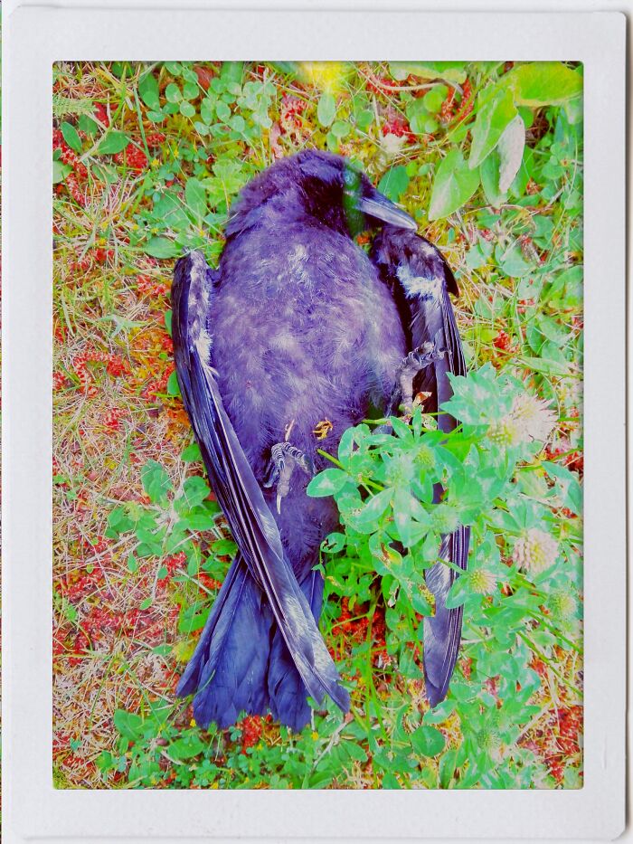 Hey Pandas, Show Me A Picture That You Took At A National Park (Closed)