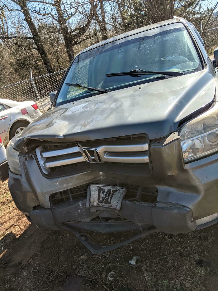 50 Times People’s Birthdays Went Wrong 50 Times People’s Birthdays Went Wrong