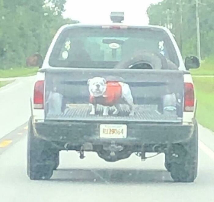 ‘Mildly Interesting’: An Online Group Exploring The Weird And Wonderful Side Of Everyday Life (50 New Pics)